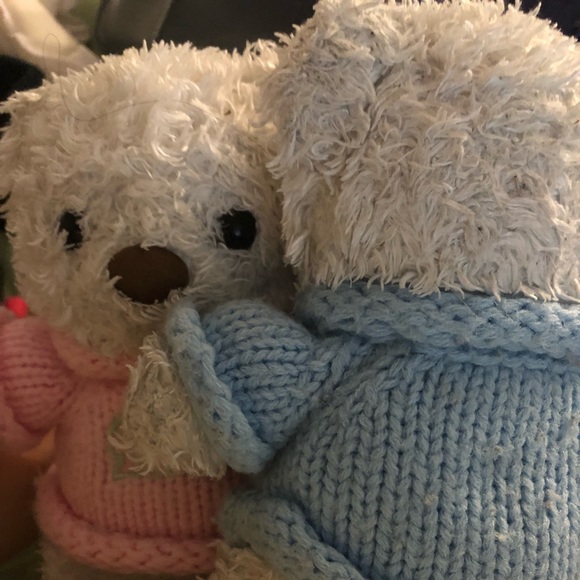 VANDA’s smoke pet fragrance-free home ( ´・ω・)y─┛~~oΟ◯ ᓚᘏᗢ | ^•ﻌ•^|  ▽・ᴥ・▽  鹵=3~゜ - Picture 9 of 17